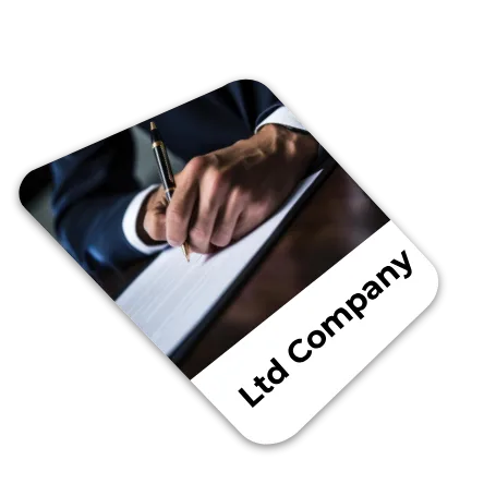 Business icon